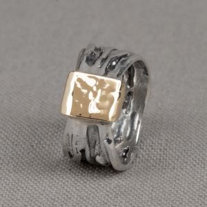 Ring verdraaid mooi zilver + 9 karaat wikkel