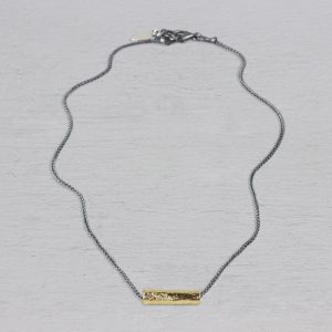 Collier zilver oxy fijn + buisje zilver verguld